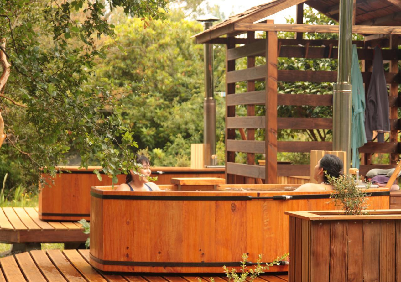 Casa Rio Vivo Villa Valdivia Bagian luar foto